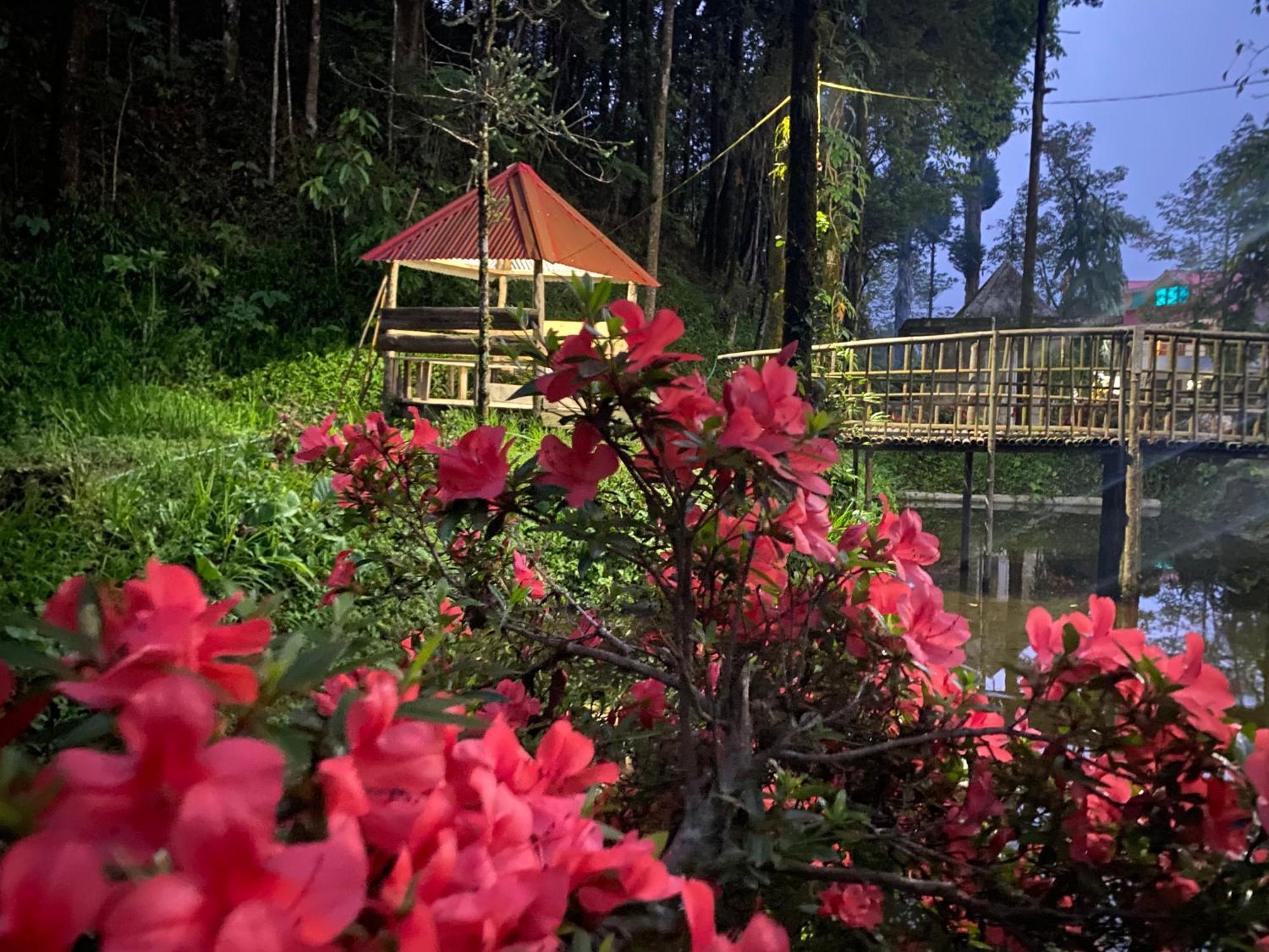Bloomfield Farmhouse And Eco-Resort Darjeeling  Exterior photo